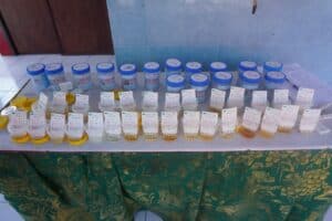 BIMBINGAN TEKNIS PENGGIAT P4GN BIMBINGAN TEKNIS PENGGIAT P4GN