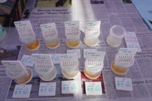 TES URINE TERHADAP PEMUDIK LEBARAN 2024 PELABUHAN PADANG BAI TES URINE TERHADAP PEMUDIK LEBARAN 2024 PELABUHAN PADANG BAI